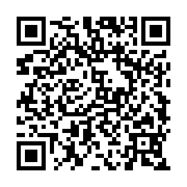 QR 295713d