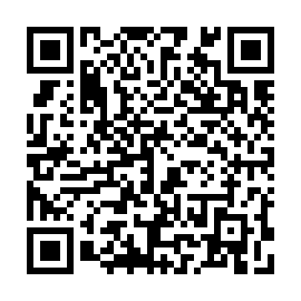 QR 295813b