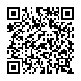 QR 295a0d2