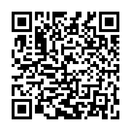 QR 295a538