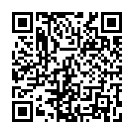 QR 295a656