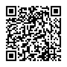 QR 295ab7c