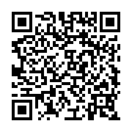 QR 295b53d