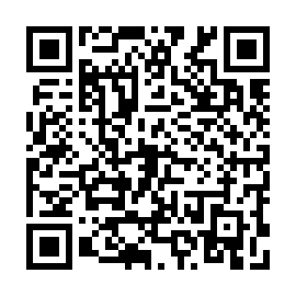 QR 295b83d