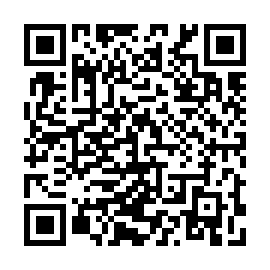 QR 295c878