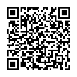 QR 295df88