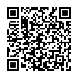 QR 295edb5