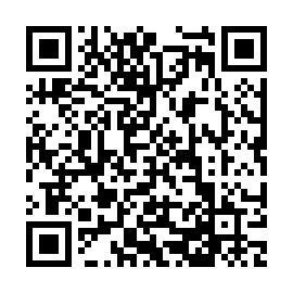 QR 295f95a