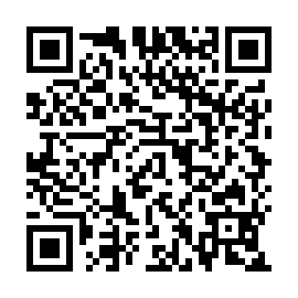 QR 297deea