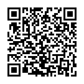 QR 298cb38