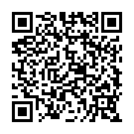 QR 298db74
