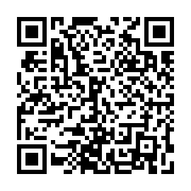 QR 2993fa3