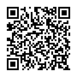QR 299cc22
