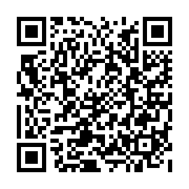 QR 29b133d