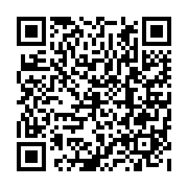 QR 29c3b50
