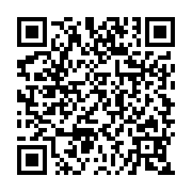 QR 29d4205