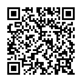 QR 29e8587