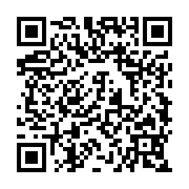 QR 29e8cf4