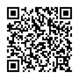 QR 2a0390b