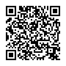 QR 2a04b49