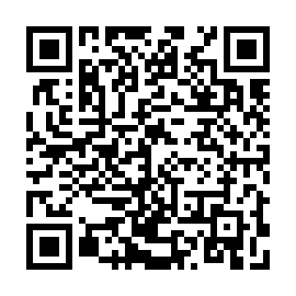 QR 2a0d878