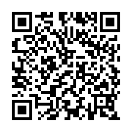 QR 2a11e87