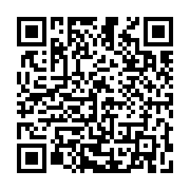 QR 2a131a8