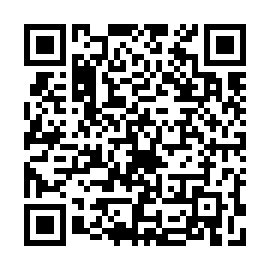 QR 2a35fe2
