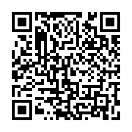 QR 2a51636