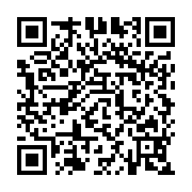 QR 2a88e01