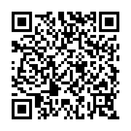 QR 2a929a0