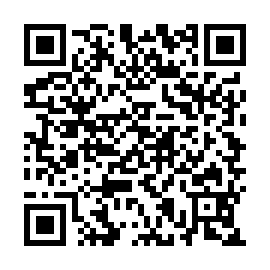 QR 2a941e5