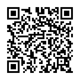 QR 2a95681