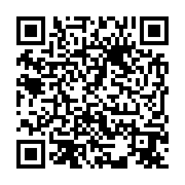 QR 2aa33a1