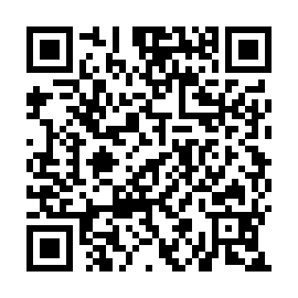 QR 2ace313