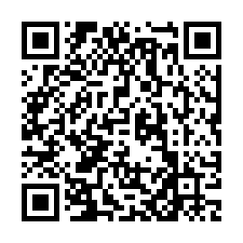 QR 2ae281e