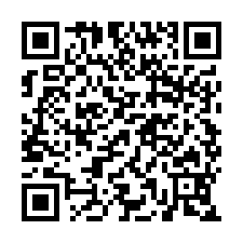 QR 2b07a77