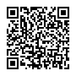 QR 2b0a88f