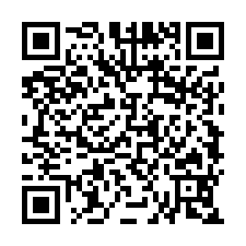 QR 2b113fd