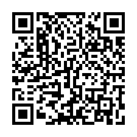 QR 2b220ff