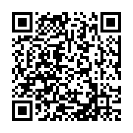 QR 2b29ae9