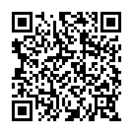 QR 2b29c02