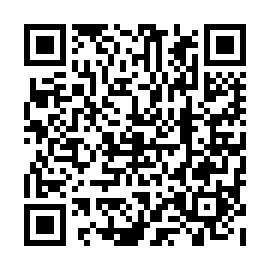 QR 2b332e0
