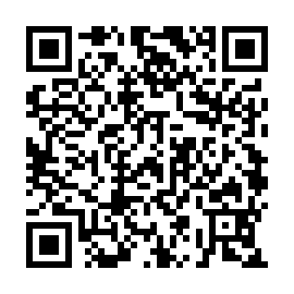 QR 2b33816