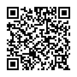 QR 2b3fc23