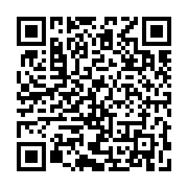 QR 2b9e4a8
