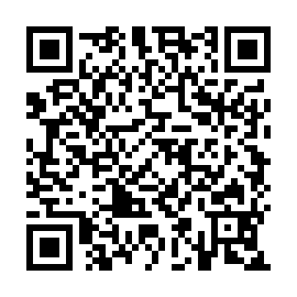 QR 2c81e10