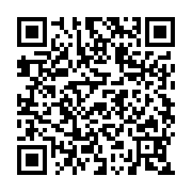 QR 2cfb132