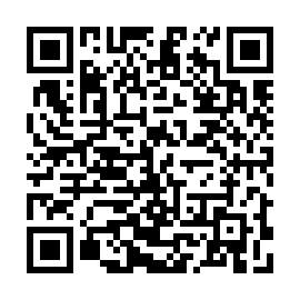 QR 2e28a38