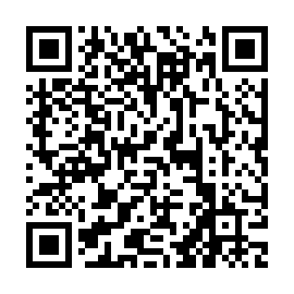 QR 2e290b0